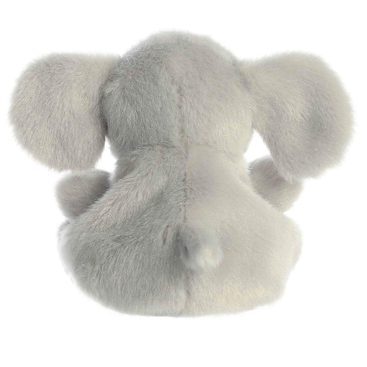 Écrase le palmier éléphant Pal