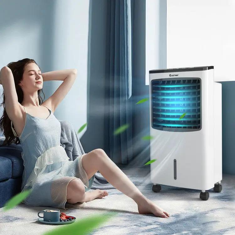 3-in-1 Portable Air Cooler with Remote - Tampa Home & Garden Store