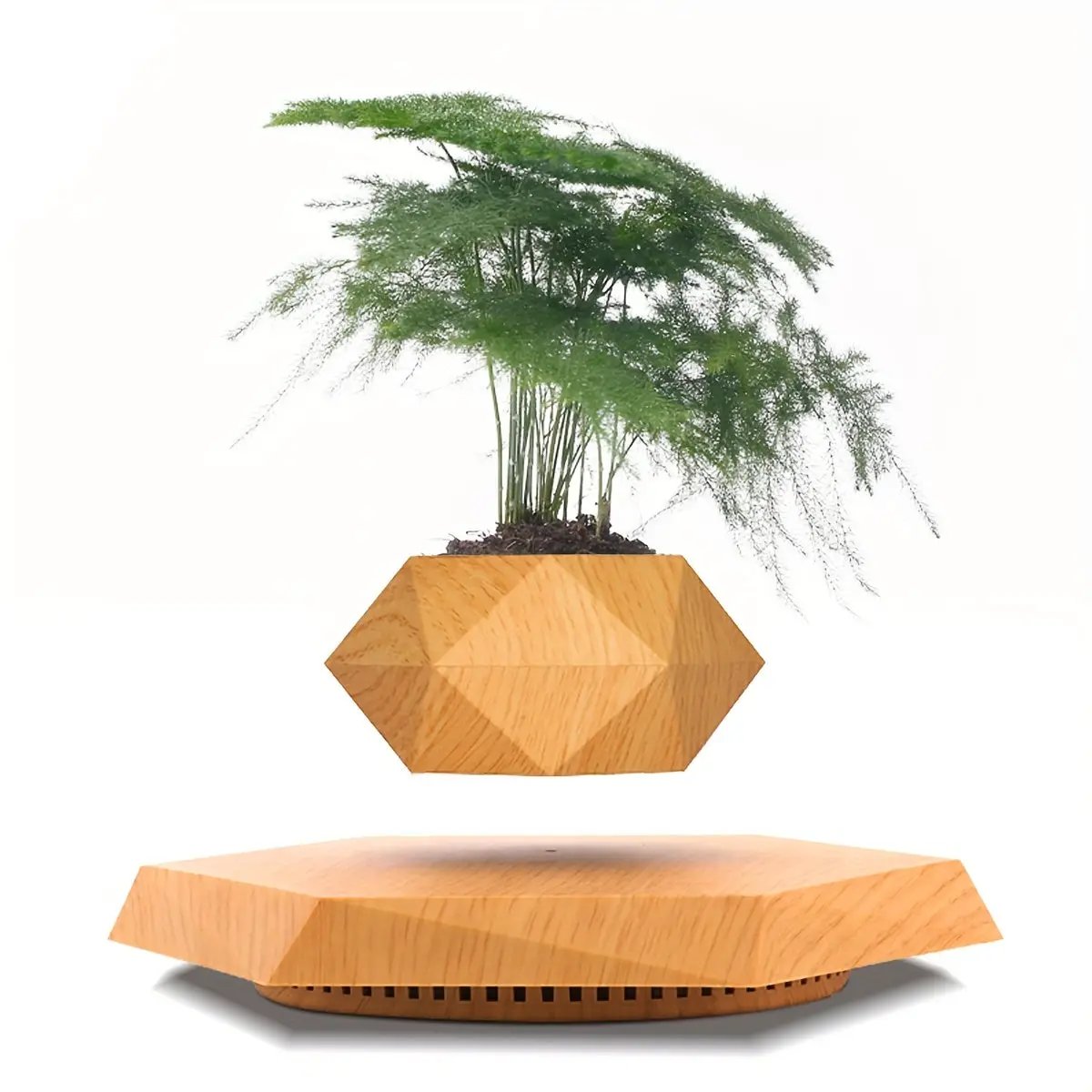 Magnetic levitating plant pot with rotating floating bonsai on a faceted natural wood pedestal on Tampa Home & Garden Store