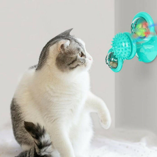 Teal windmill cat toy with suction cups, rotating spinner and spiky ball, cat watching it on Tampa Home & Garden Store