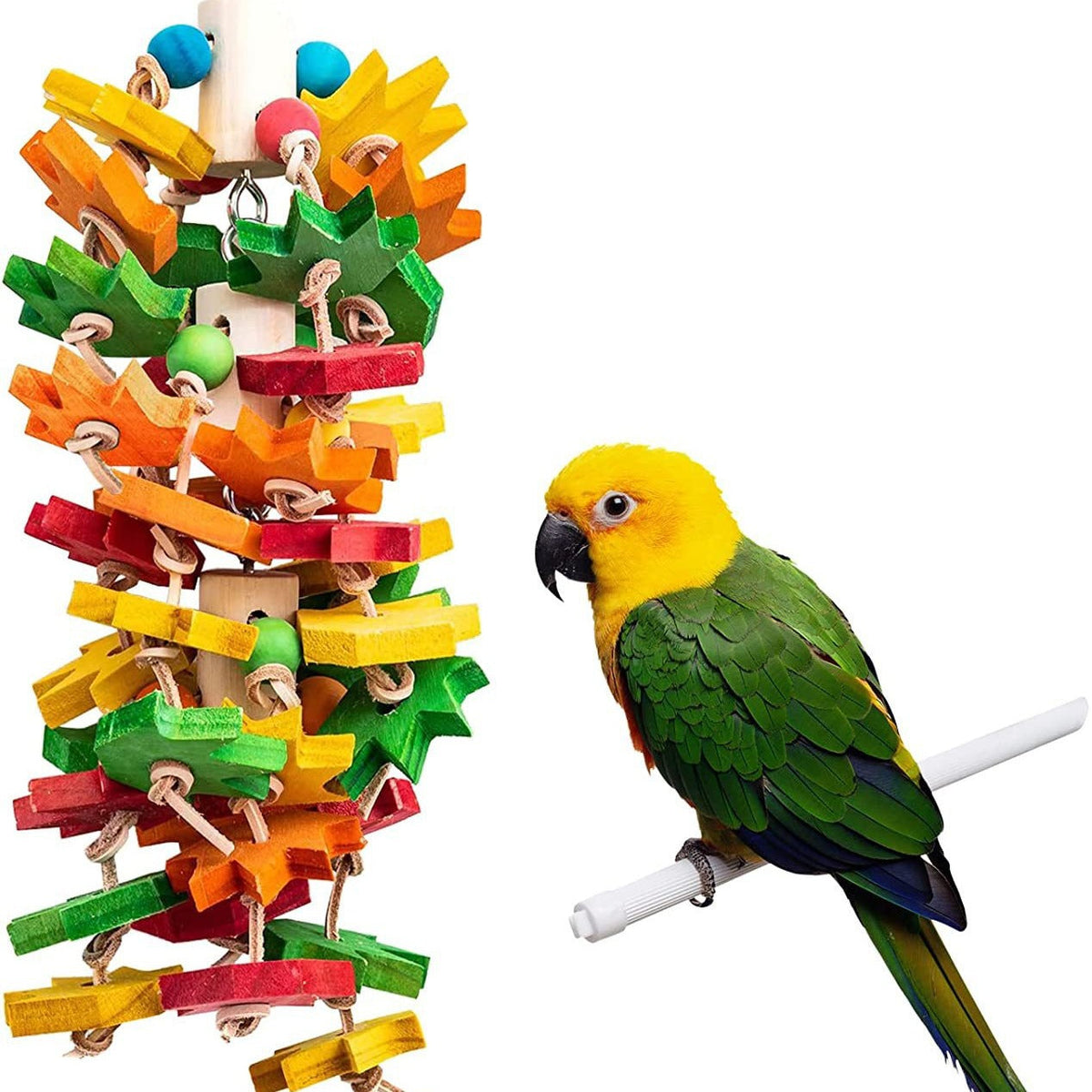 Wooden multicolor nibbling parrot toy on rope with blocks for medium and large parrots on Tampa Home & Garden Store
