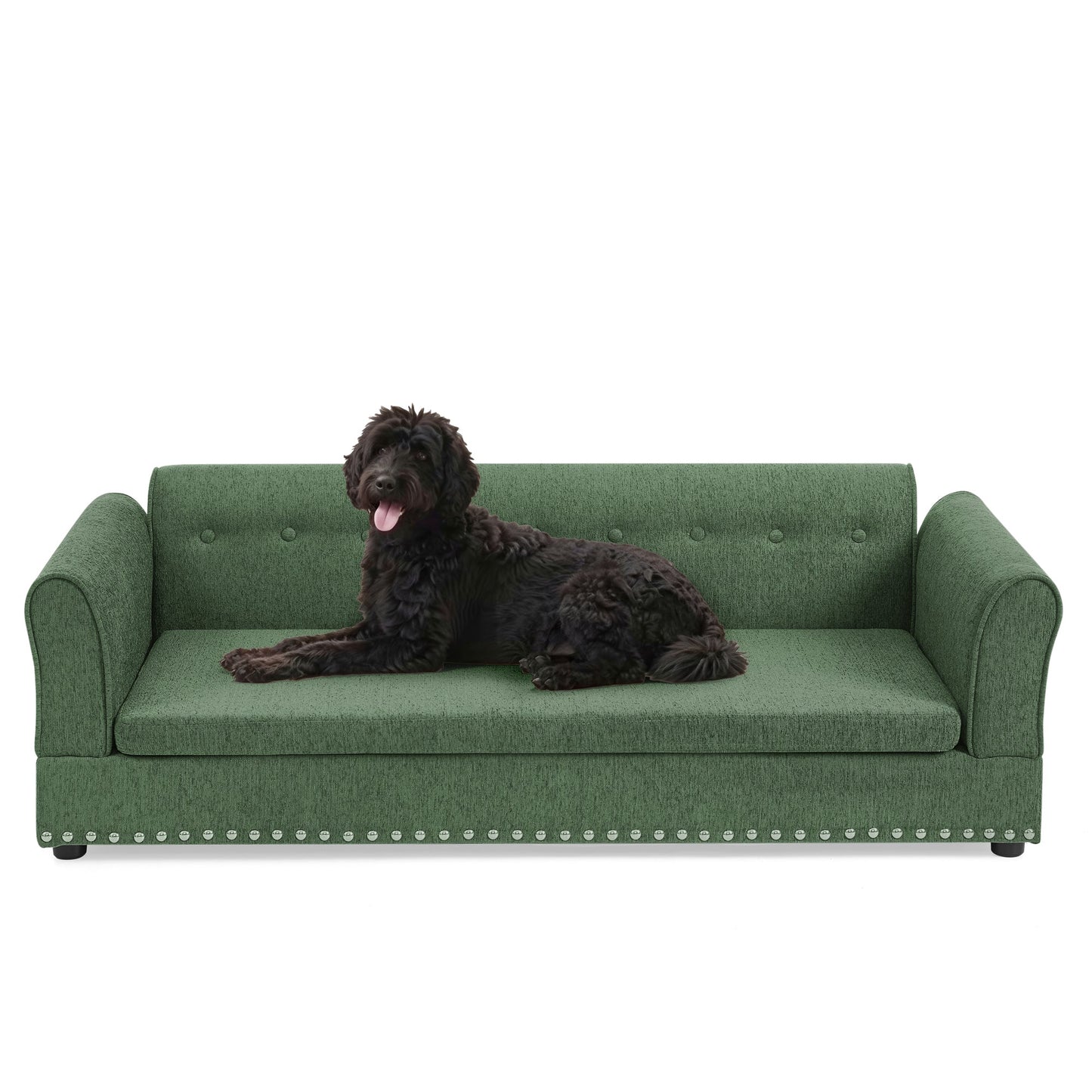Oversized pet sofa green tufted fabric with nailhead trim by HouseOfZazla, dog lounging on Tampa Home & Garden Store