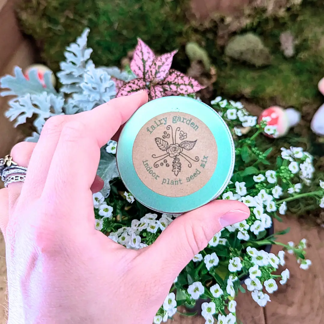 Fairy Garden Seed Mix for indoor plants, turquoise metal tin with kraft label and Plantflix on Tampa Home & Garden Store