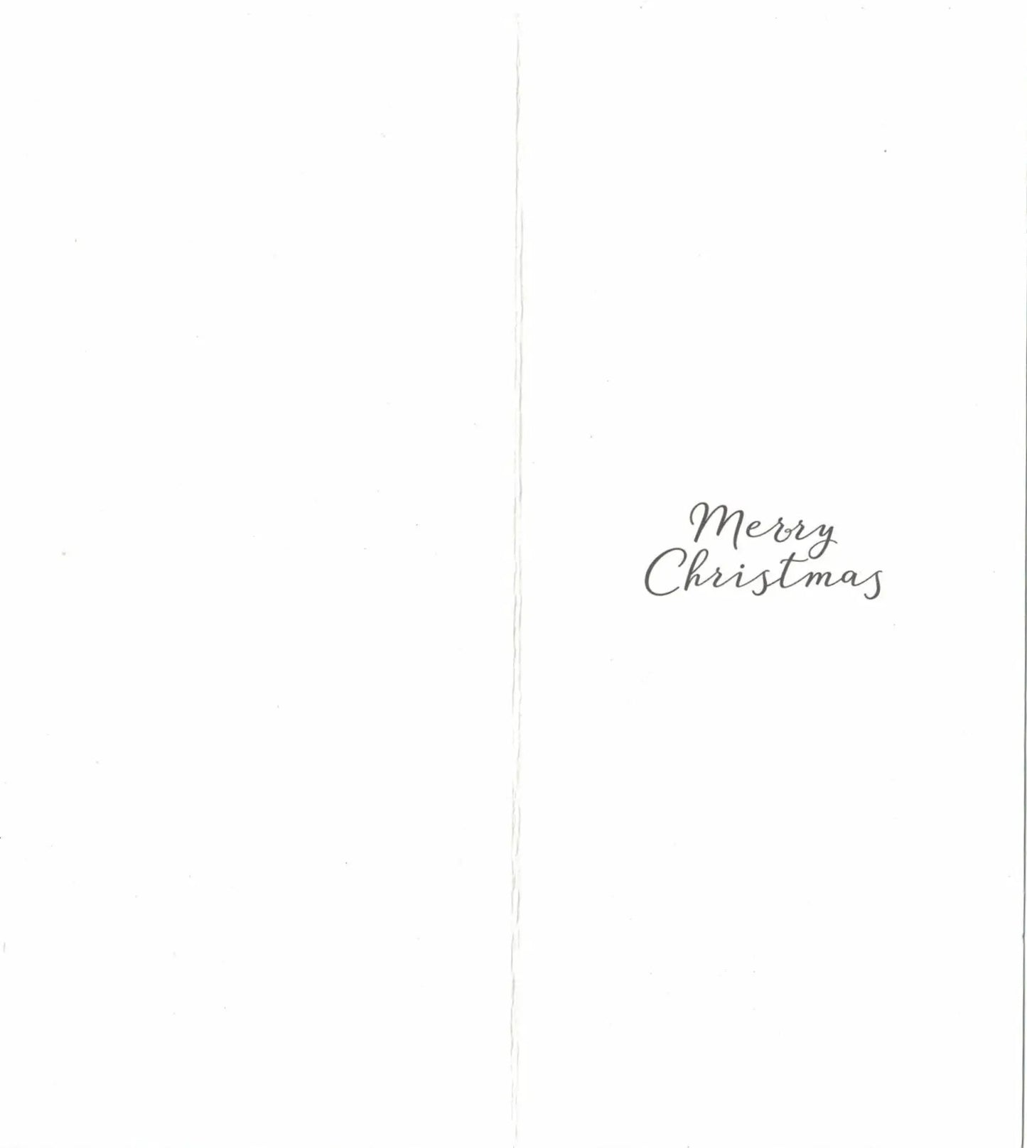 Christmas Money Card Holder greeting card with white cover and Merry Christmas cursive text on Tampa Home & Garden Store