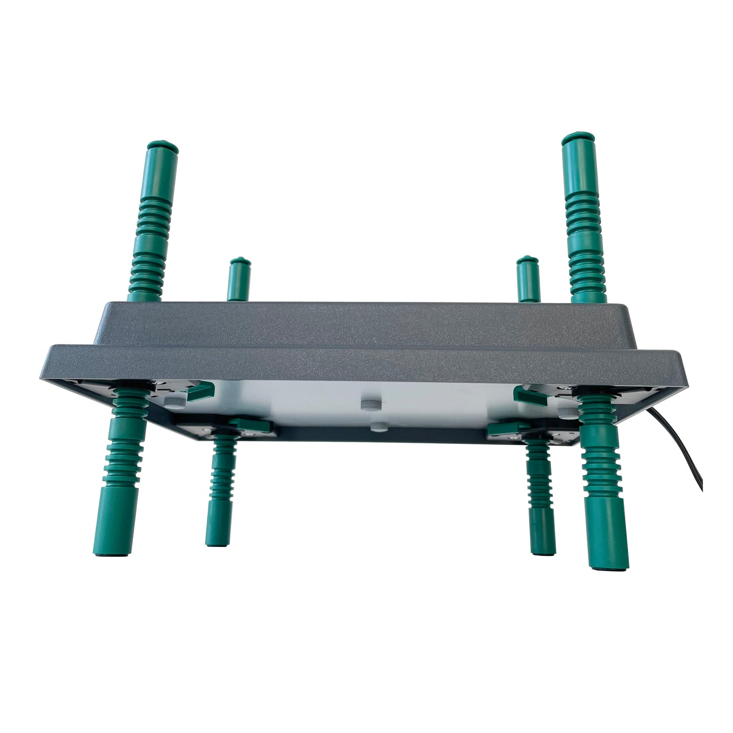 Placa calefactora para criadora de pollos Farmight, altura ajustable, 3 opciones de tamaño