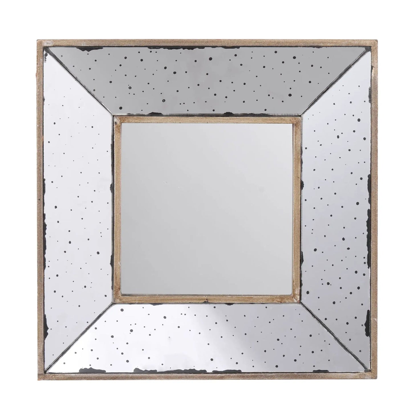 Distressed accent mirror traditional framed wall mirror with a gold frame and speckled panels on Tampa Home & Garden Store