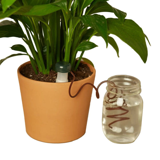 Automatic Plant Waterer watering spike; white body, green cap in pot House Plant Shop on Tampa Home & Garden Store