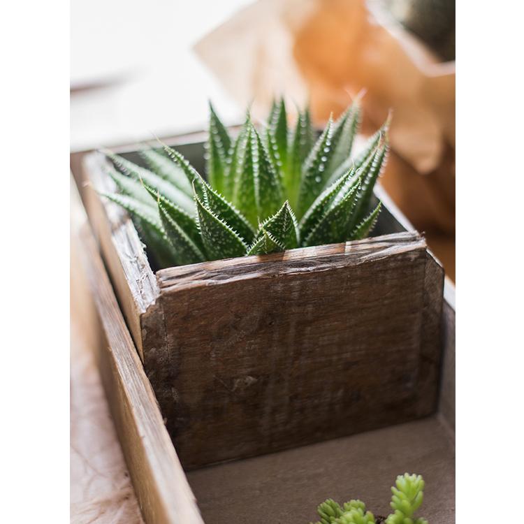 Four Piece Solid Wood Table Box Set wooden planter with a green succulent inside on Tampa Home & Garden Store