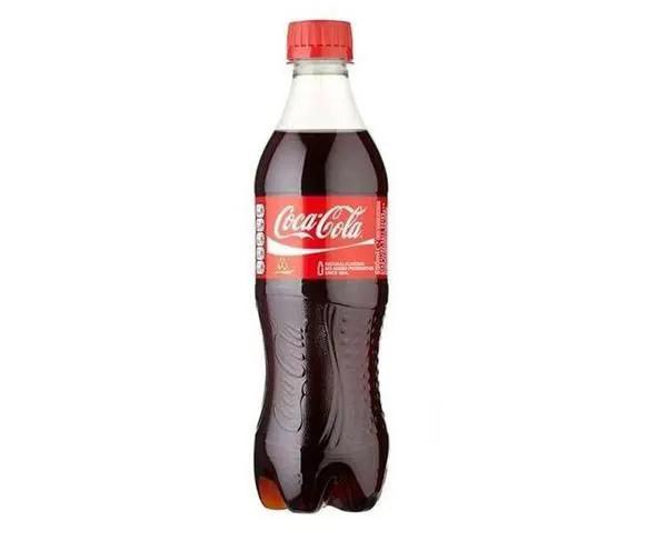 Coca-Cola Classic 16.9 oz plastic bottle with red label Coca-Cola branding on Tampa Home & Garden Store