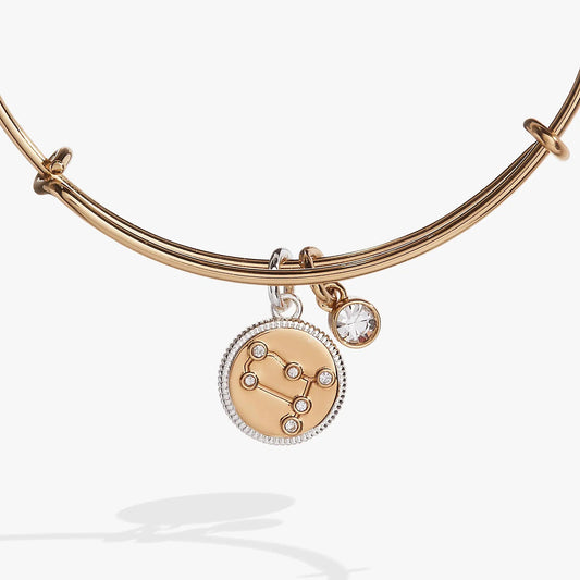 Gemini Zodiac Charm Bangle in rose gold tone with crystal accents by ALEX AND ANI on Tampa Home & Garden Store