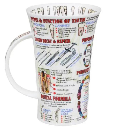 Teeth Fine Bone China Mug Glencoe Style white mug with dental diagrams on Tampa Home & Garden Store