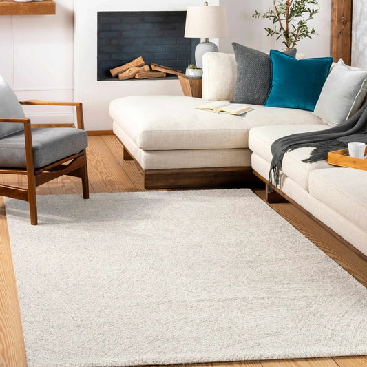 Eaglehawk Luxe Rug by Boutique Rugs, contemporary multicolor beige textured weave in living room on Tampa Home & Garden Store