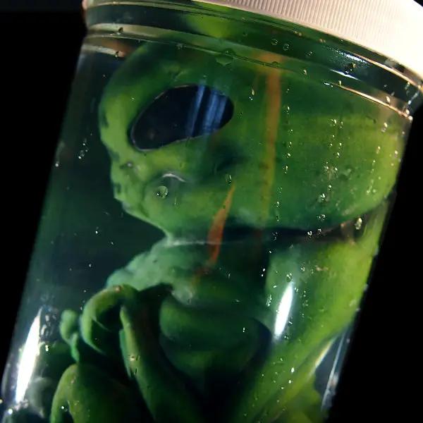 Green Alien Monster Embryo in Formaldehyde Jar Prop - Tampa Home & Garden Store