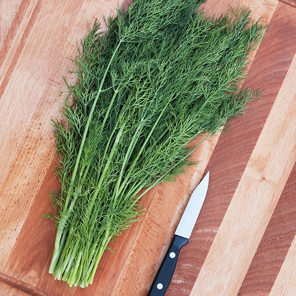 Greensleeves Dill fresh herb bundle with feathery green leaves on cutting board on Tampa Home & Garden Store
