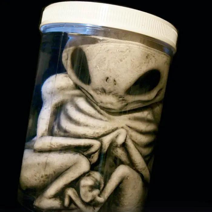 Grey Alien Monster Embryo in Formaldehyde Jar Prop - Tampa Home & Garden Store