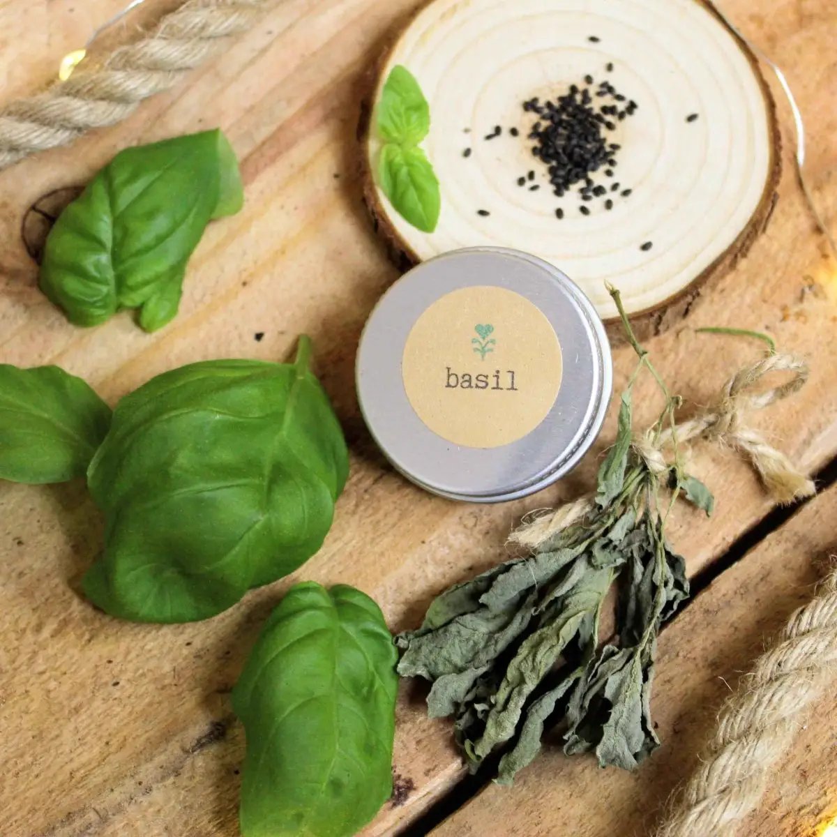 Basil seed kit in a metal tin with fresh basil leaves and dried herb bundle on Tampa Home & Garden Store