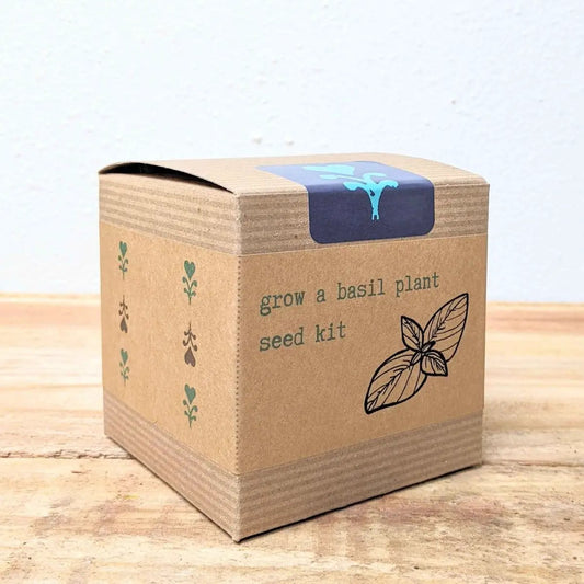 Basil plant seed kit by Plantflix in kraft cardboard box with basil leaf illustration on Tampa Home & Garden Store