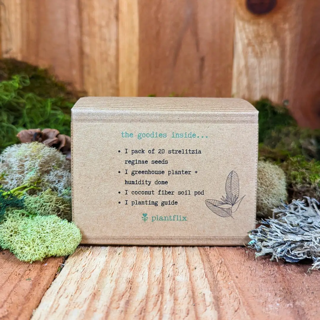 Bird of Paradise seed kit from Plantflix in a kraft box with contents list and leaf sketch on Tampa Home & Garden Store