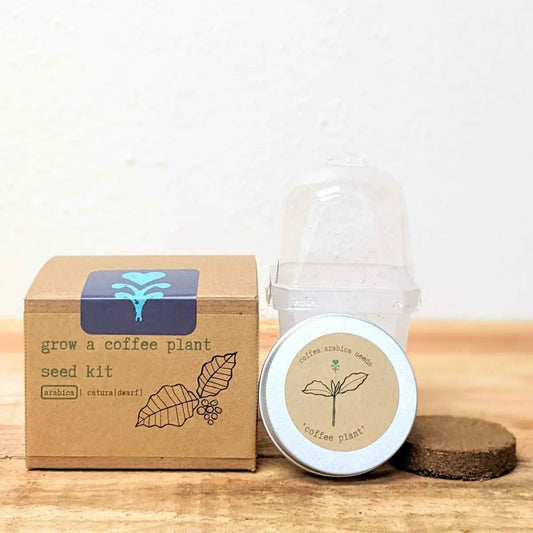 Grow a coffee plant seed kit by Plantflix with cardboard box and seed tin on Tampa Home & Garden Store