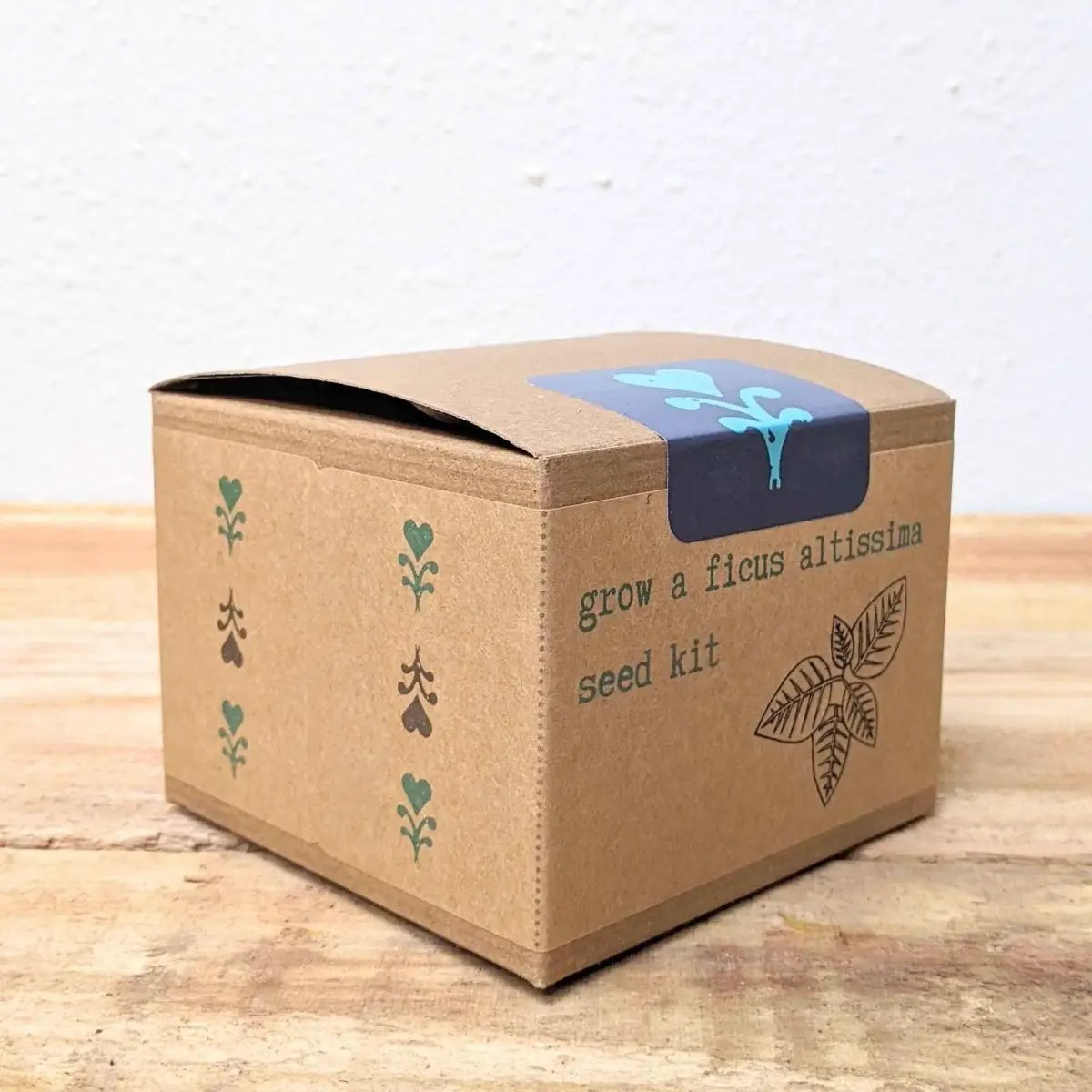 Ficus Altissima seed kit box in brown cardboard with teal leaf icons and blue strap on Tampa Home & Garden Store