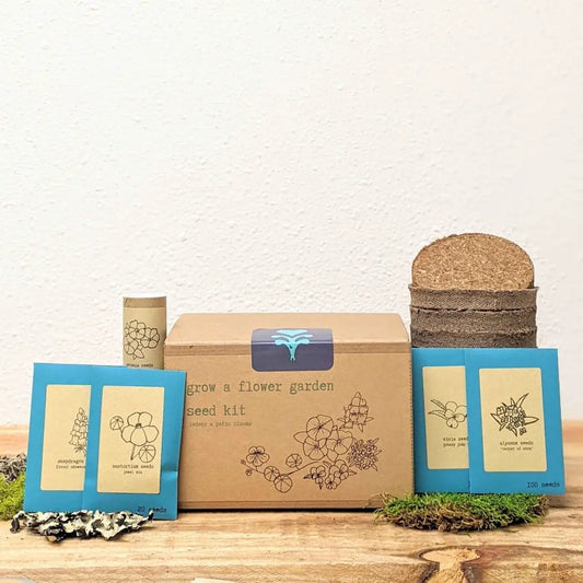 Indoor Flower Seed Kit for Kitchen Garden by Plantflix, 4 blue seed packets and kraft box on Tampa Home & Garden Store