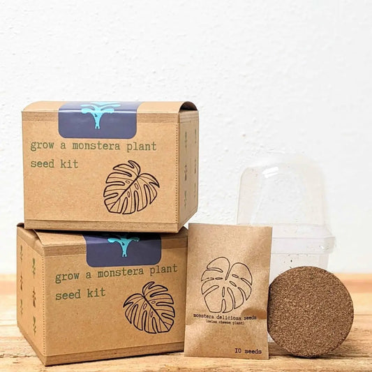 Monstera seed kit with two kraft boxes, seed packet, cork disk on Tampa Home & Garden Store