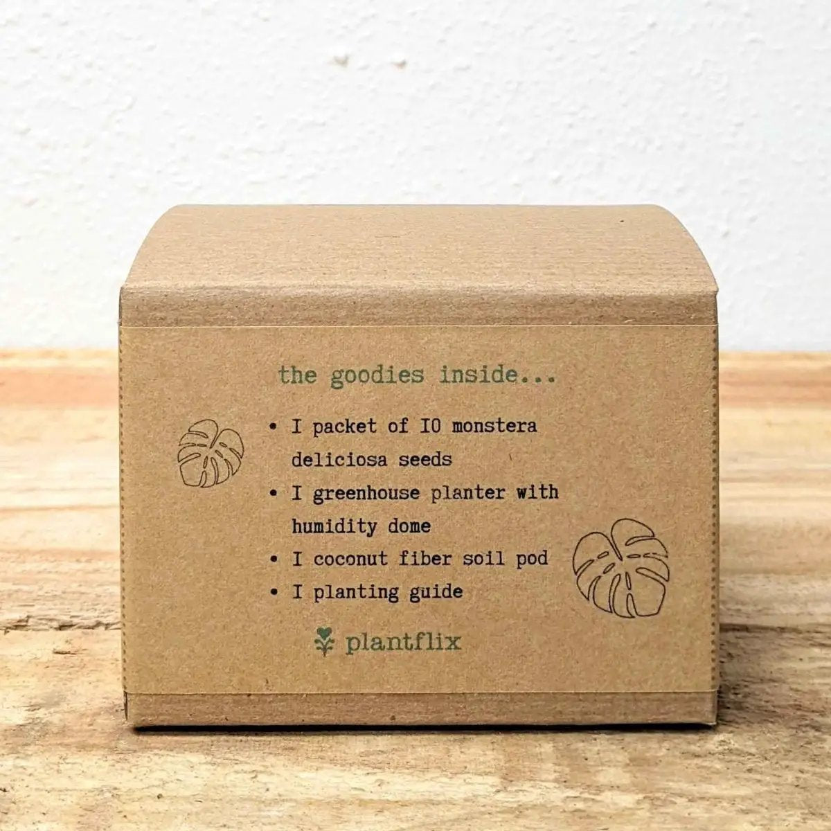 Monstera seed kit by Plantflix with 10 Monstera deliciosa seeds and humidity dome on Tampa Home & Garden Store