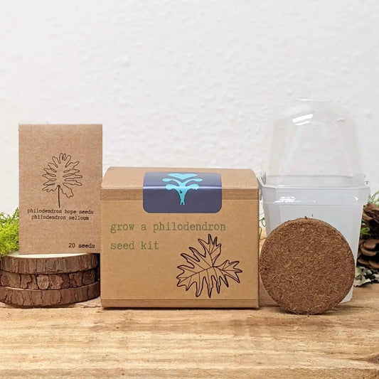 Grow philodendron seed kit for beginners with 20 seeds, cork disks, and clear container on Tampa Home & Garden Store