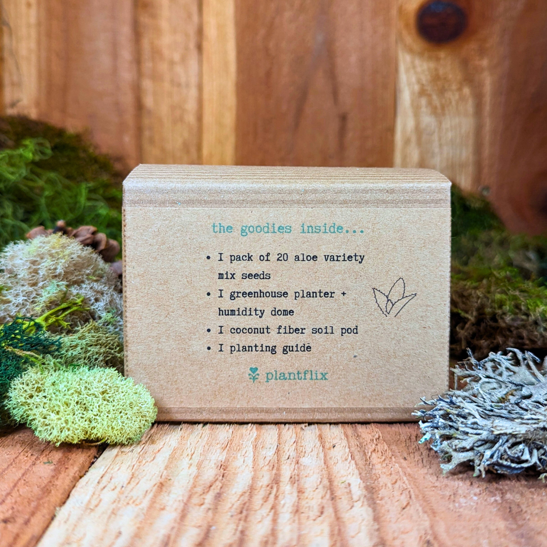 Aloe Plant Seed Kit by Plantflix in a brown cardboard box with a contents list and greenery on Tampa Home & Garden Store