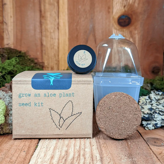 Aloe plant seed kit by Plantflix with kraft box teal text blue cloche dome and cork disk on Tampa Home & Garden Store