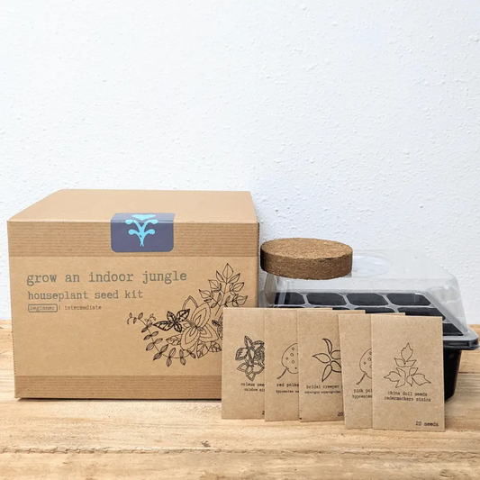 Grow an Indoor Jungle Seed Kit by Plantflix: brown box, blue logo, cork tray, 5 seed packets on Tampa Home & Garden Store