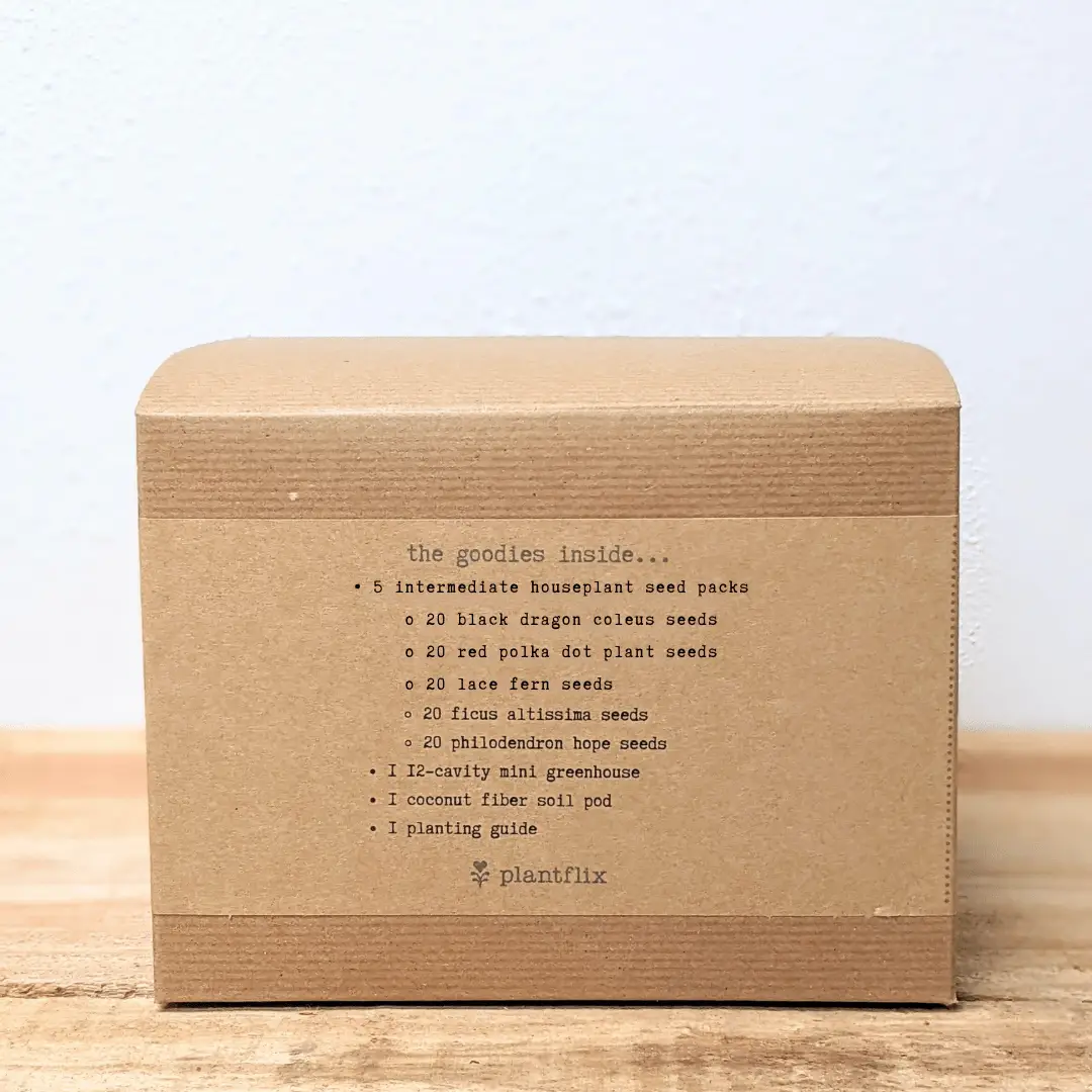 Grow an Indoor Jungle Houseplant Seed Kit by Plantflix in a brown box with seed packs on Tampa Home & Garden Store