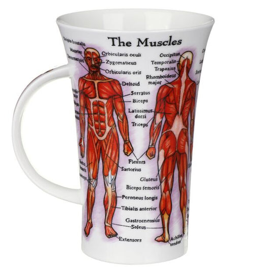 Mug en porcelaine fine « Corps humain », style Glencoe, par Dunoon