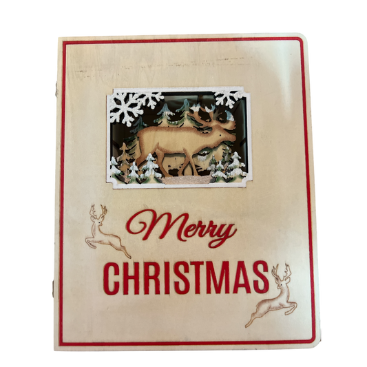 Libro de Adviento de Feliz Navidad