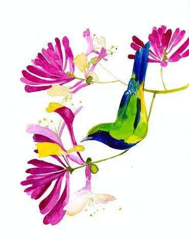 Honeysuckle Art Print Soft Pastel Botanical by Mai Autumn, watercolor hummingbird motif on Tampa Home & Garden Store