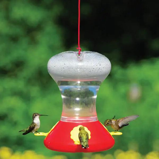 Flite Line 30 Oz Hummingbird Feeder red base with clear reservoir and hanging red cord on Tampa Home & Garden Store