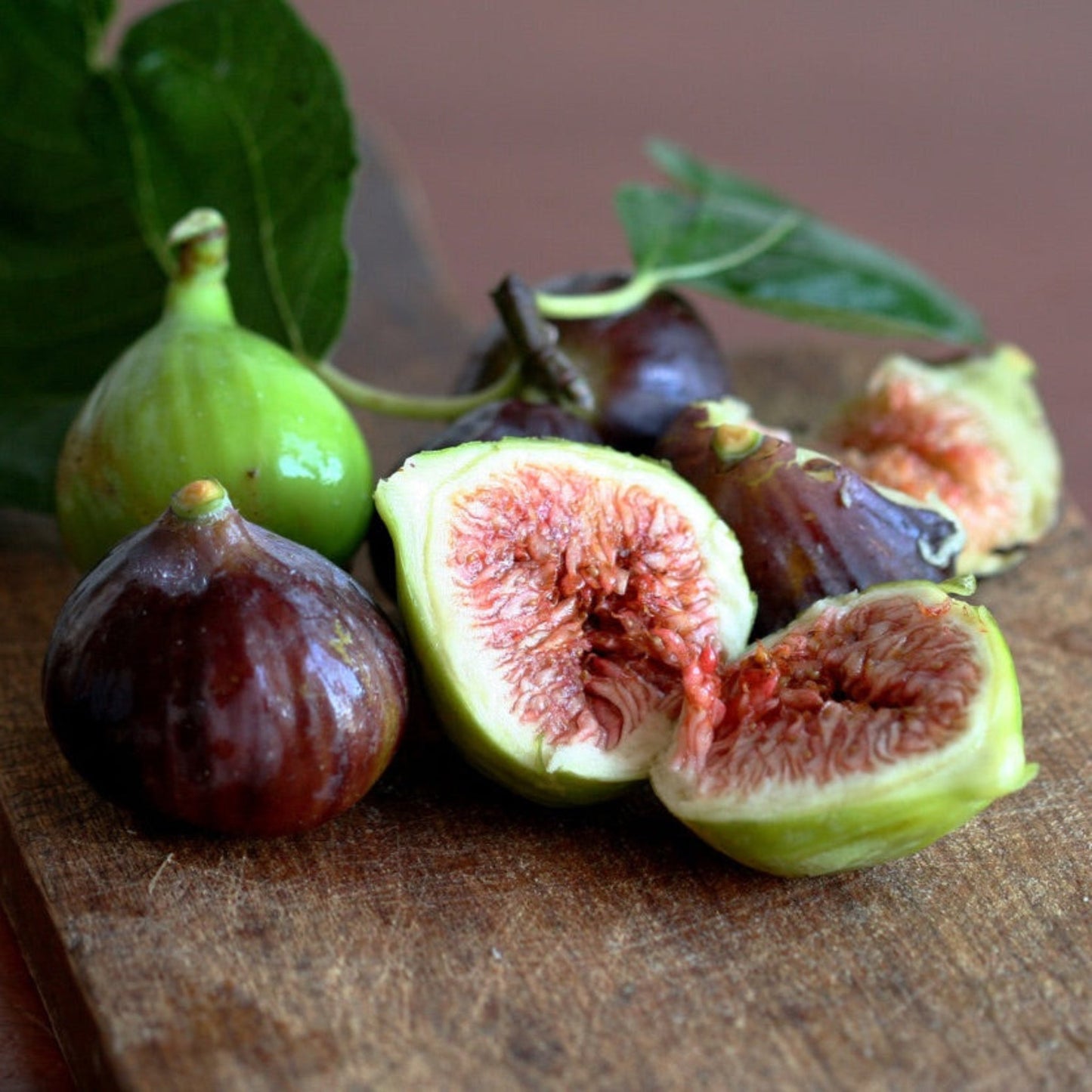 Little Miss Figgy plant green and purple figs sliced to reveal interior on Tampa Home & Garden Store