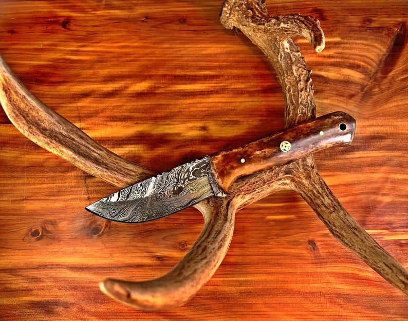 Damascus fixed-blade hunting knife, full tang, wood handle, leather sheath on Tampa Home & Garden Store