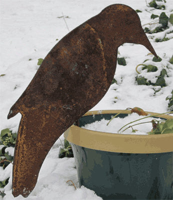 Crow-shaped garden stake Rustica Ornamentals rusted metal yard decor by snow-filled pot on Tampa Home & Garden Store