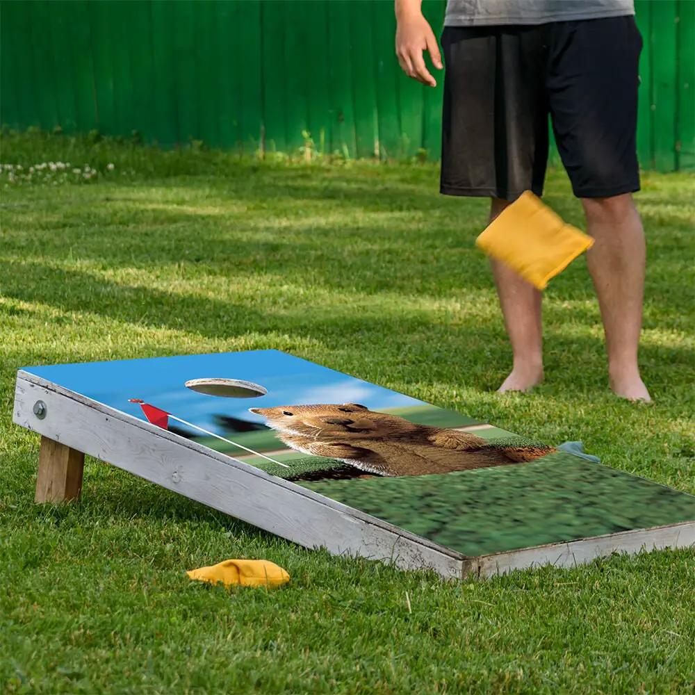 Gopher Golf cornhole board wrap set of 2 with blue sky and gopher image on Tampa Home & Garden Store