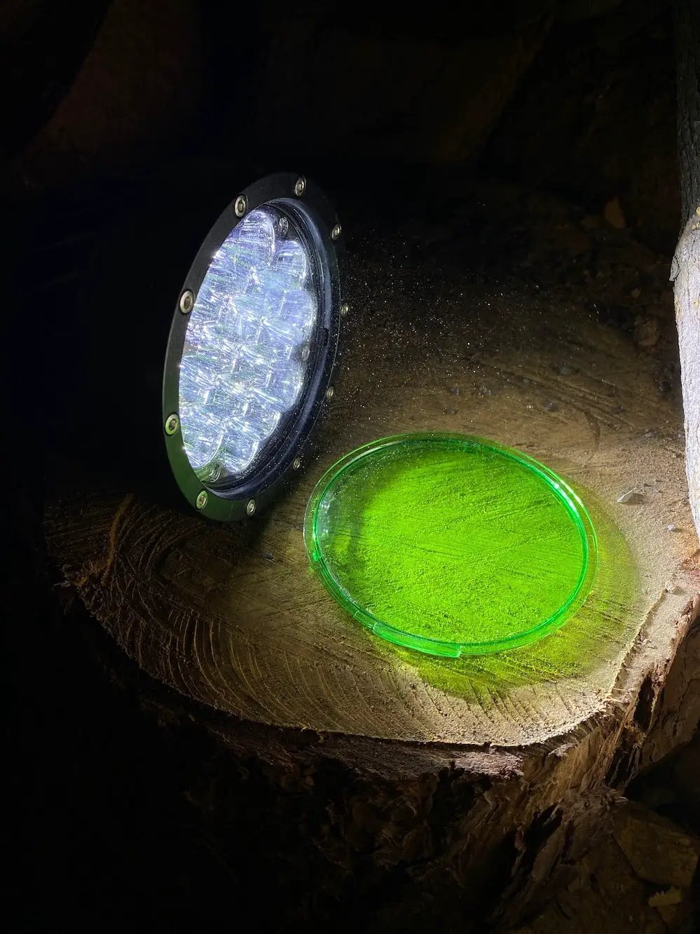Green DayMaker Snap-on Cover with Colored Lenses beside a green lens cap on a black LED housing on Tampa Home & Garden Store