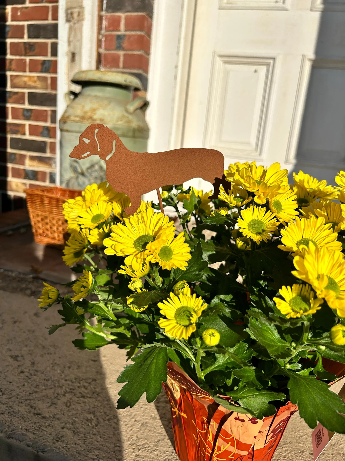 Dachshund Memorial Plant Stake rusted metal silhouette among yellow mums by Rustica Ornamentals on Tampa Home & Garden Store