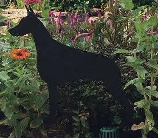 Doberman Pinscher garden stake in black metal among plants on Tampa Home & Garden Store