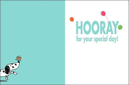 Notion Hooray Birthday Card turquoise and white design with a cartoon dog and balloons on Tampa Home & Garden Store