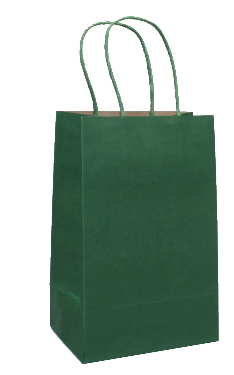 Jr Cub Kraft Gift Bag vibrant green with kraft interior and twisted handles on Tampa Home & Garden Store