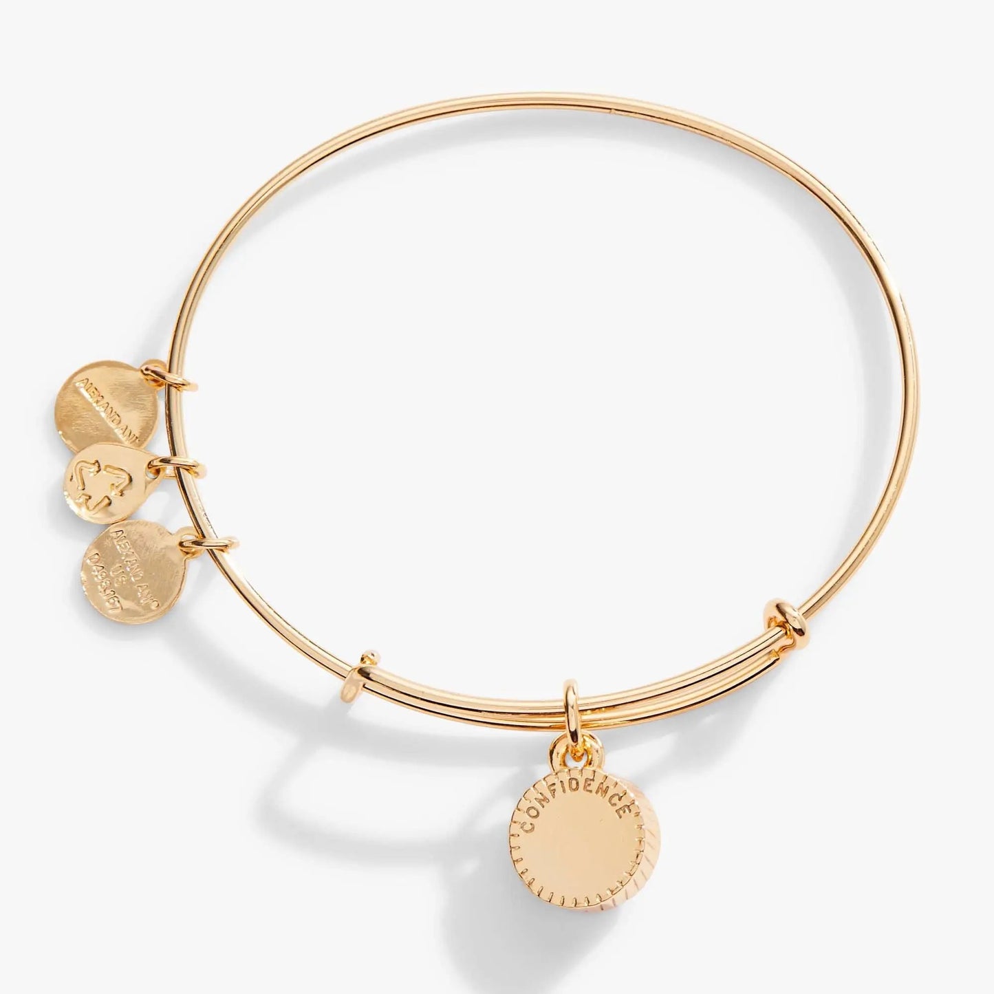 June Birthstone Charm Bangle by Alex and Ani, rose gold tone bracelet with coin charms on Tampa Home & Garden Store