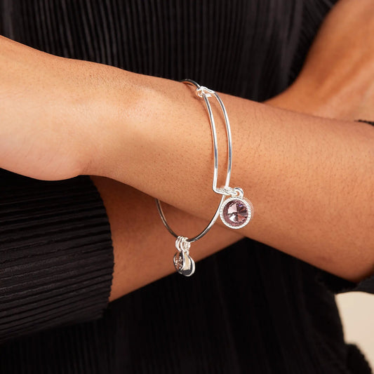 June Birthstone Charm Bangle pair with light amethyst stone on silver bracelet on Tampa Home & Garden Store