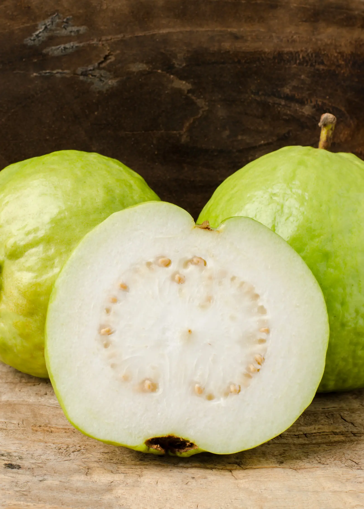 Guava 'Kilo' (Psidium guajava) - Tampa Home & Garden Store