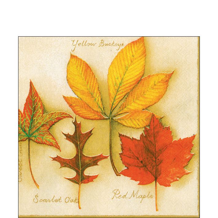Serviette de cocktail en papier - Feuilles d'automne - Crème