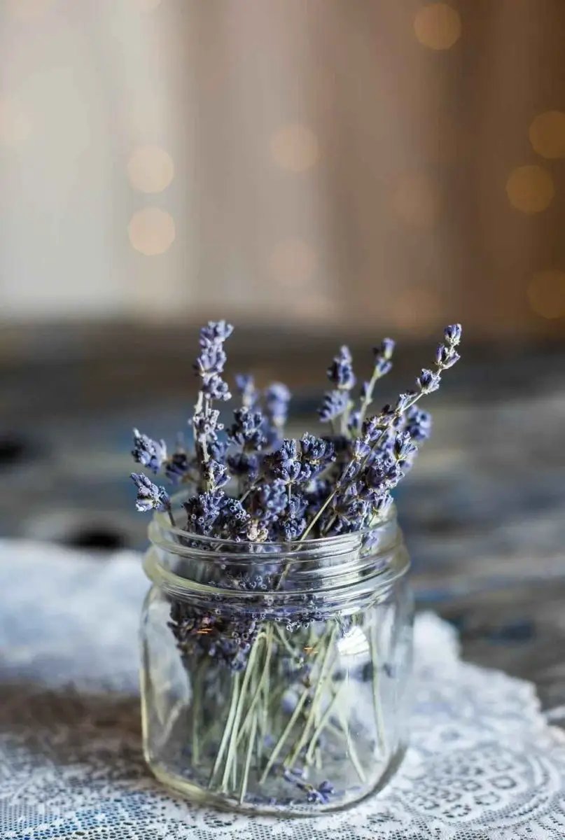 Lavender seeds in a clear glass jar with purple sprigs on Tampa Home & Garden Store